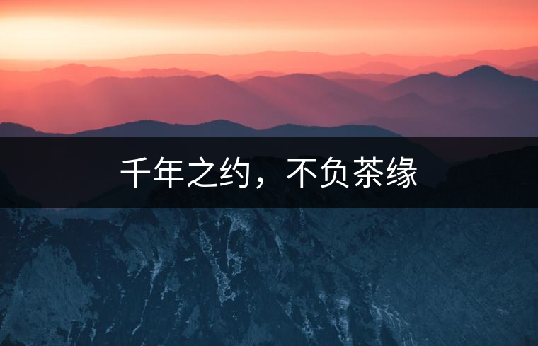 千年之約，不負(fù)茶緣