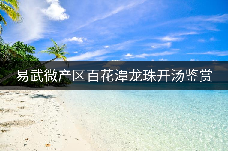 易武微產(chǎn)區(qū)百花潭龍珠開湯鑒賞