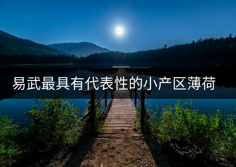 易武最具有代表性的小產(chǎn)區(qū)薄荷塘，一滴都不舍得浪費