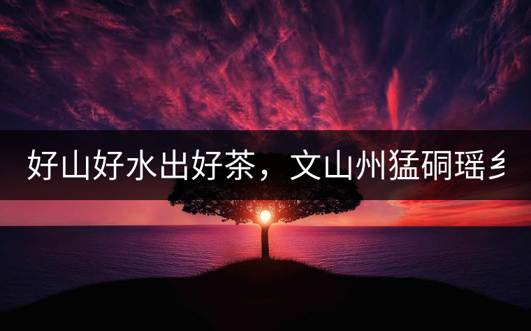好山好水出好茶，文山州猛硐瑤鄉(xiāng)茶！