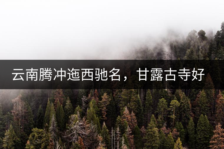 云南騰沖迤西馳名，甘露古寺好茶