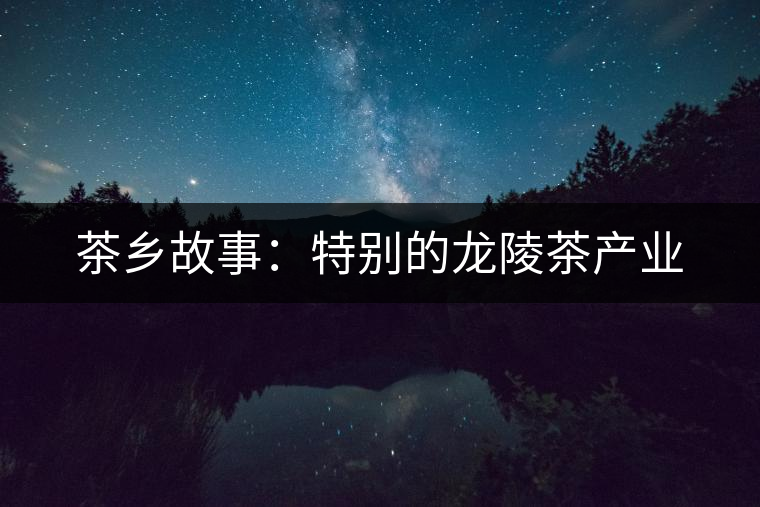 茶鄉(xiāng)故事:特別的龍陵茶產(chǎn)業(yè) 茶鄉(xiāng)故事:特別的龍陵茶產(chǎn)業(yè)
