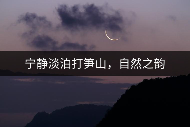 寧靜淡泊打筍山，自然之韻