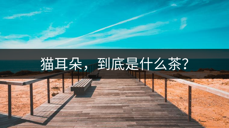 貓耳朵，到底是什么茶？