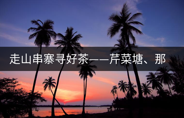 走山串寨尋好茶——芹菜塘、那罕、曼崗、昔歸