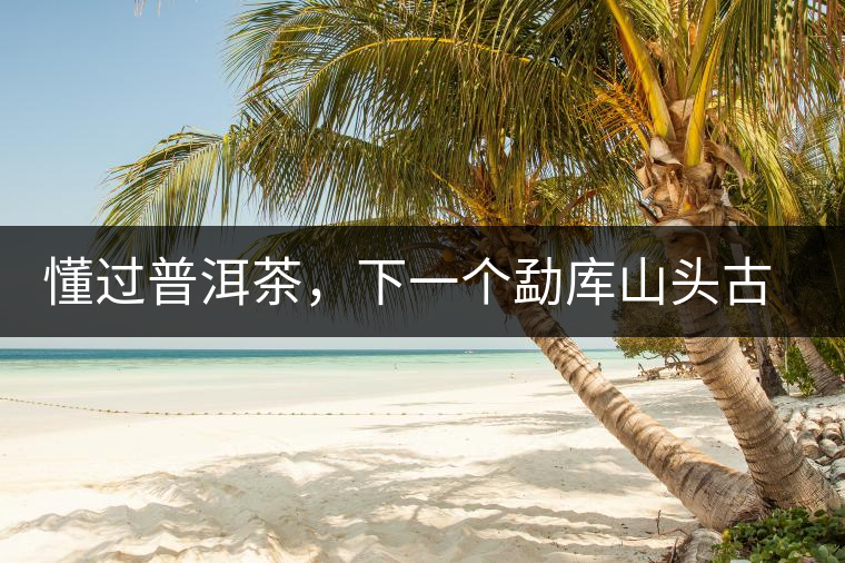 懂過(guò)普洱茶，下一個(gè)勐庫(kù)山頭古純的引爆點(diǎn)