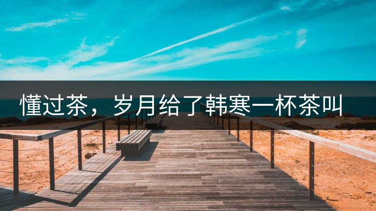 懂過茶，歲月給了韓寒一杯茶叫懂過