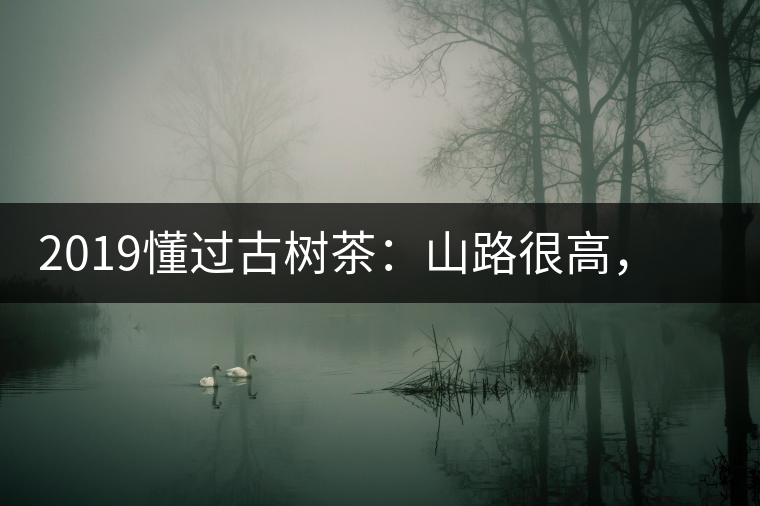 2019懂過古樹茶：山路很高，可仍然有執(zhí)著走向深山的人