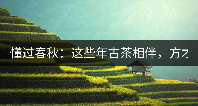 懂過(guò)春秋：這些年古茶相伴，方才懂過(guò)！