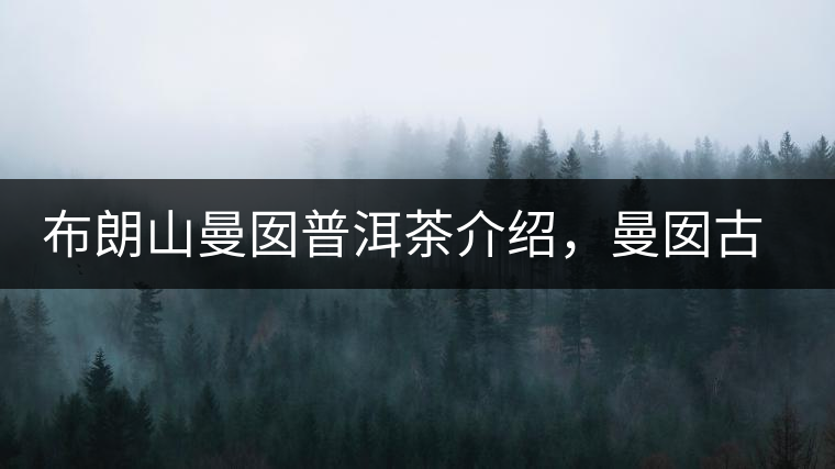 布朗山曼囡普洱茶介紹，曼囡古樹(shù)茶口感特點(diǎn)