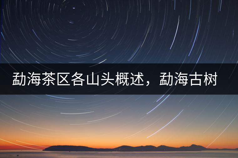 勐海茶區(qū)各山頭概述，勐海古樹茶口感特點