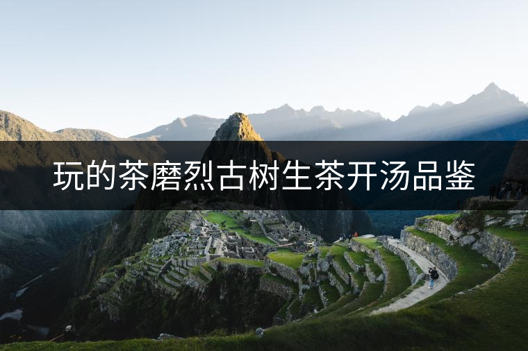 玩的茶磨烈古樹(shù)生茶開(kāi)湯品鑒