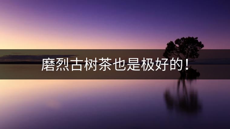 磨烈古樹茶也是極好的！