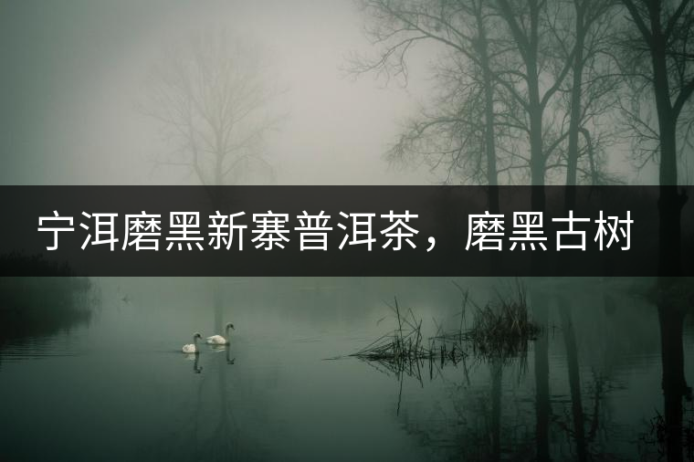 寧洱磨黑新寨普洱茶，磨黑古樹(shù)茶口感特點(diǎn)