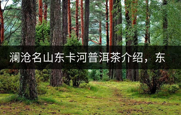 瀾滄名山東卡河普洱茶介紹，東卡河古樹茶口感特點(diǎn)