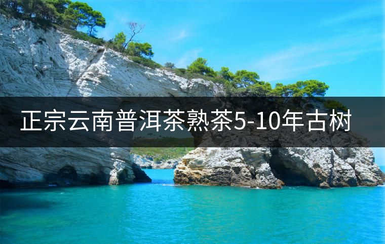 正宗云南普洱茶熟茶5-10年古樹茶餅濃香型陳年茶葉特級(jí)357g禮盒裝