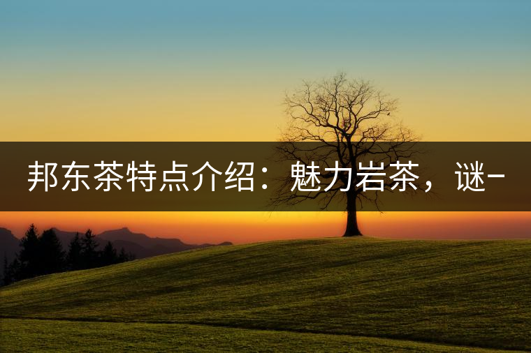 邦東茶特點(diǎn)介紹：魅力巖茶，謎一樣的邦東！