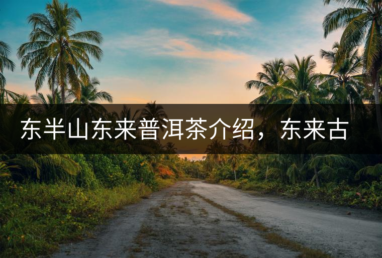 東半山東來普洱茶介紹，東來古樹茶口感特點