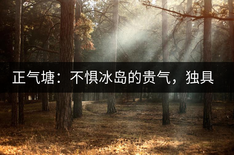 正氣塘：不懼冰島的貴氣，獨具冰島之魅力