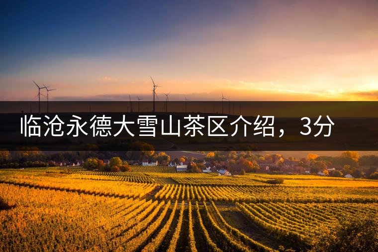 臨滄永德大雪山茶區(qū)介紹，3分鐘了解永德大雪山古樹茶