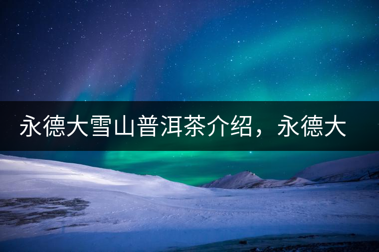 永德大雪山普洱茶介紹，永德大雪山古樹茶口感特點(diǎn)