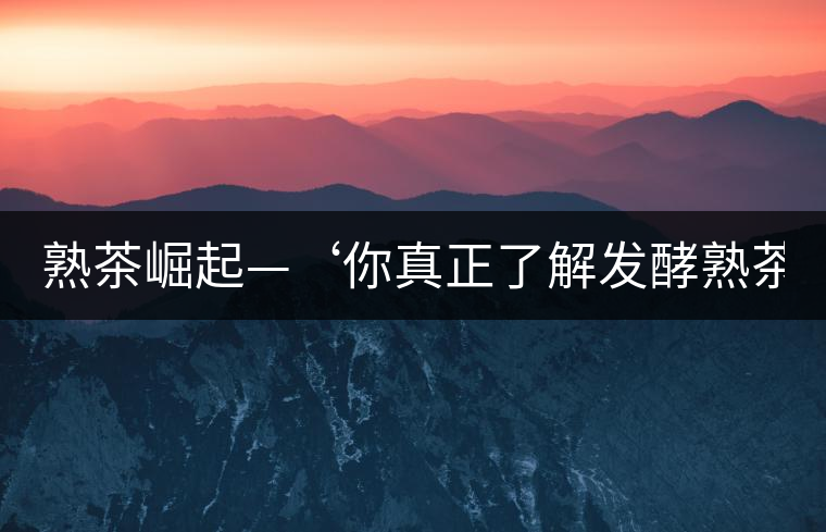 熟茶崛起—‘你真正了解發(fā)酵熟茶？’