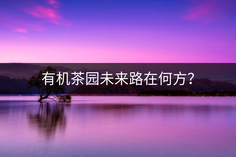 有機茶園未來路在何方？