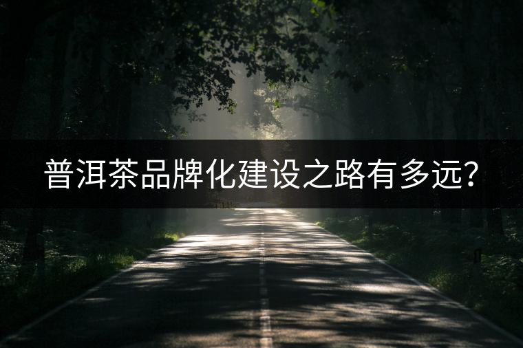 普洱茶品牌化建設(shè)之路有多遠(yuǎn)？