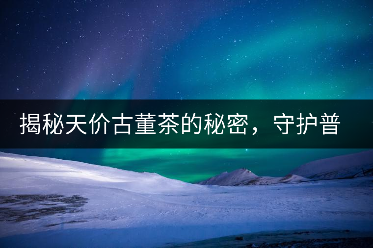 揭秘天價古董茶的秘密，守護普洱茶的健康發(fā)展