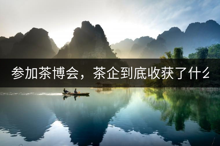 參加茶博會，茶企到底收獲了什么？