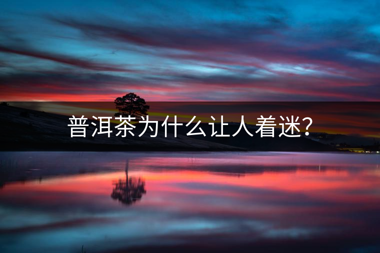普洱茶為什么讓人著迷？