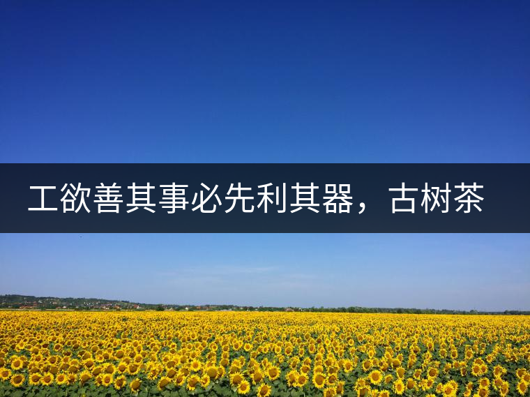 工欲善其事必先利其器，古樹茶用什么茶器最好？