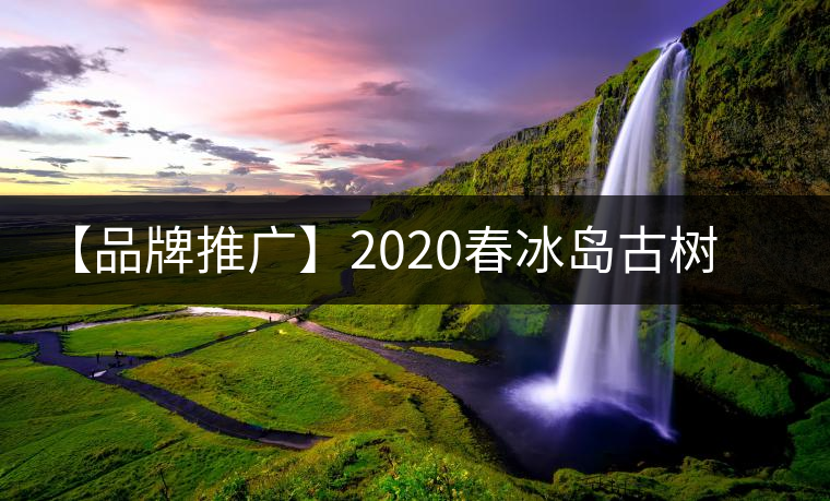 【品牌推廣】2020春冰島古樹普洱茶特級生茶餅茶葉多規(guī)格久樽正品 【品牌推廣】2020春冰島古樹普洱茶特級生茶餅茶葉多規(guī)格久樽正品