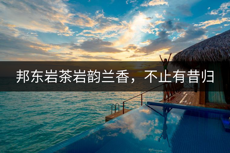 邦東巖茶巖韻蘭香，不止有昔歸