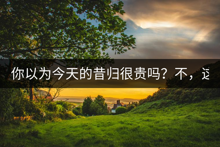 你以為今天的昔歸很貴嗎？不，這只是開始！