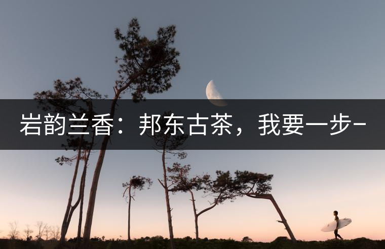 巖韻蘭香：邦東古茶，我要一步一步往上爬！