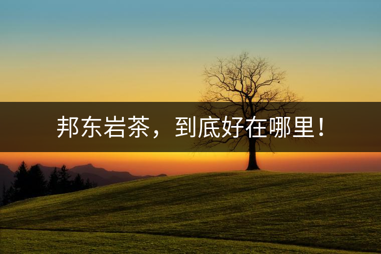 邦東巖茶，到底好在哪里！