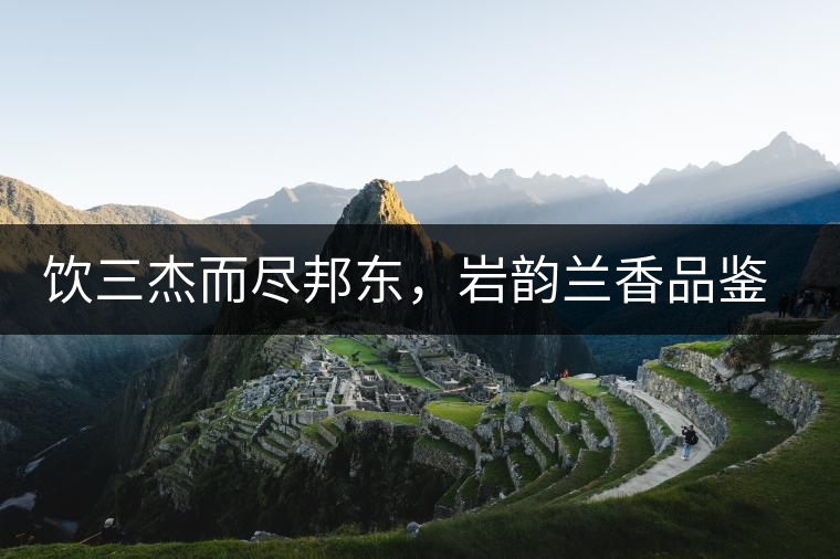 飲三杰而盡邦東，巖韻蘭香品鑒：生于山石上，韻味正當(dāng)