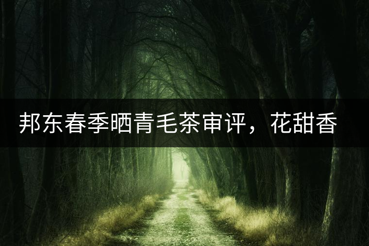 邦東春季曬青毛茶審評，花甜香高揚甘爽潤滑