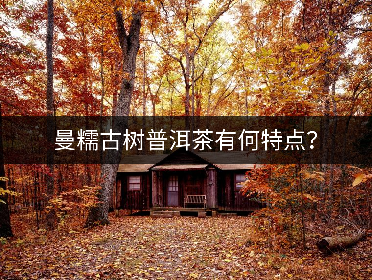 曼糯古樹(shù)普洱茶有何特點(diǎn)？