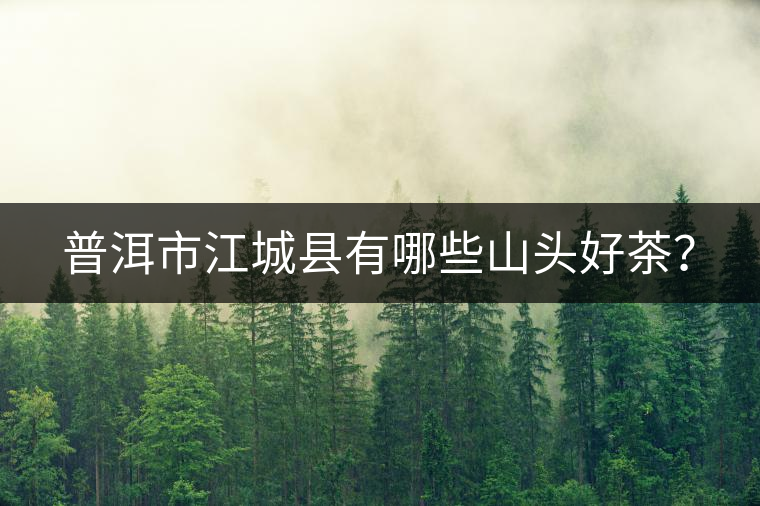 普洱市江城縣有哪些山頭好茶？