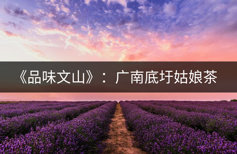 《品味文山》：廣南底圩姑娘茶