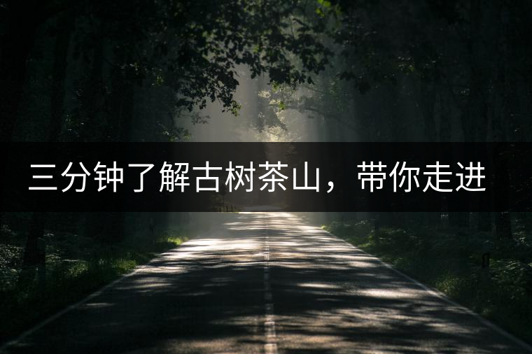 三分鐘了解古樹(shù)茶山，帶你走進(jìn)西蒙佛殿山