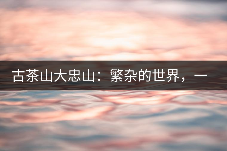 古茶山大忠山：繁雜的世界，一杯就夠了