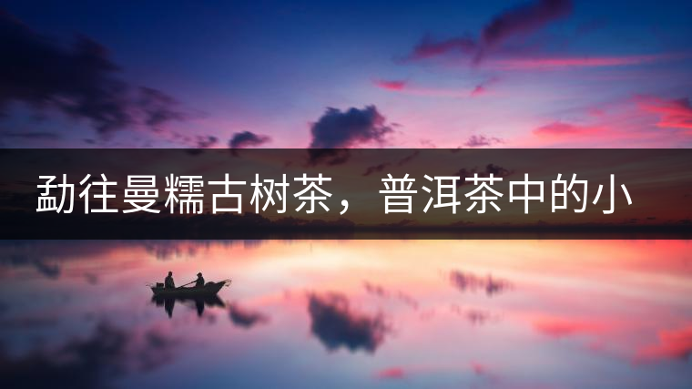 勐往曼糯古樹茶，普洱茶中的小班章