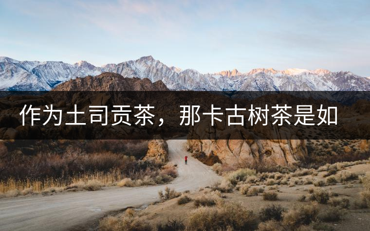 作為土司貢茶，那卡古樹(shù)茶是如何在眾多茶中脫穎而出的