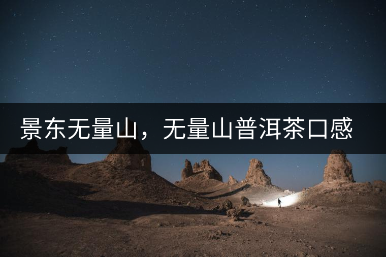 景東無量山，無量山普洱茶口感特點