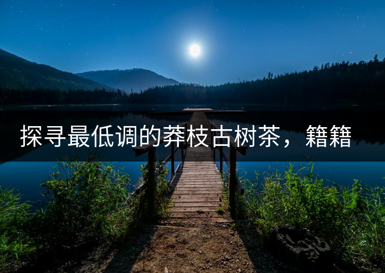 探尋最低調(diào)的莽枝古樹茶，籍籍無名出好茶