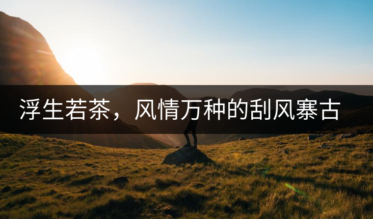 浮生若茶，風(fēng)情萬種的刮風(fēng)寨古樹茶