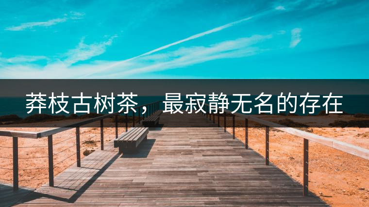 莽枝古樹(shù)茶，最寂靜無(wú)名的存在
